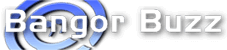 Bangor Buzz